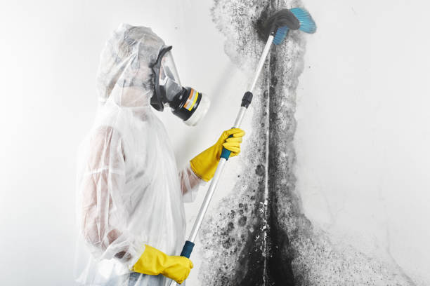 Best Crawl Space Mold Remediation  in West Milwaukee, WI