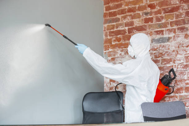 Best Comprehensive Air Testing for Mold Contaminants  in West Milwaukee, WI